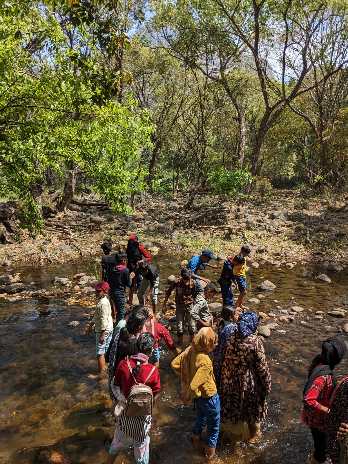 Nature Camp Photo 1